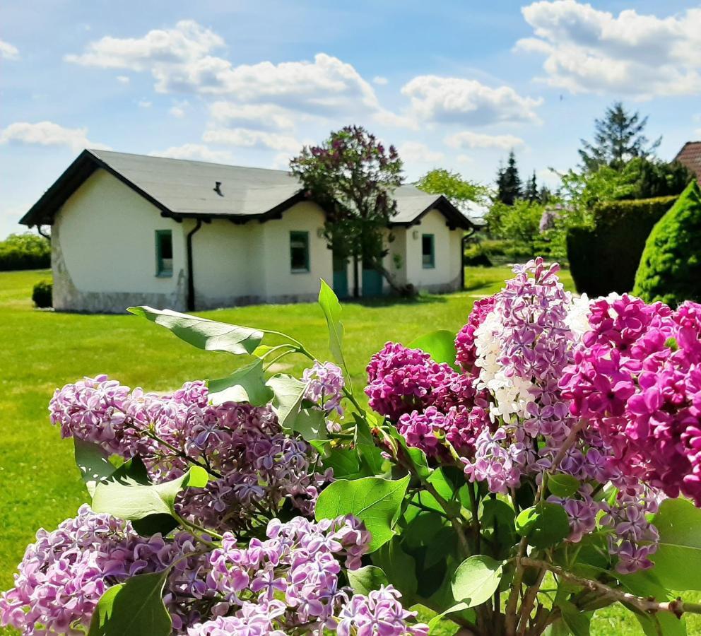 Pension Landhaus Teichgraf Wolgast Exteriör bild