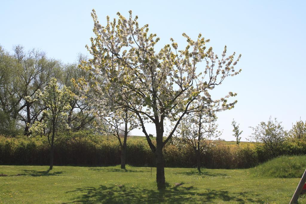 Pension Landhaus Teichgraf Wolgast Exteriör bild